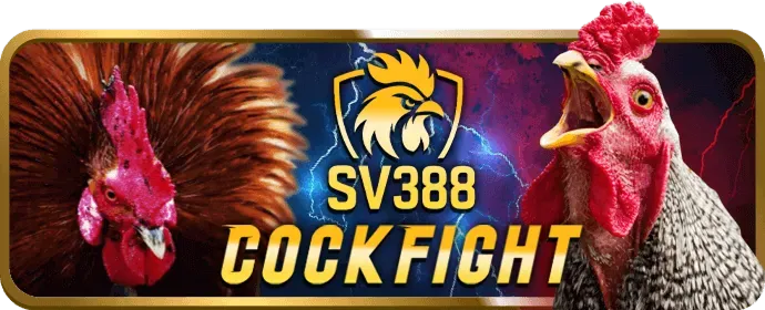 Gửi email hỗ trợ khách hàng 555bet login